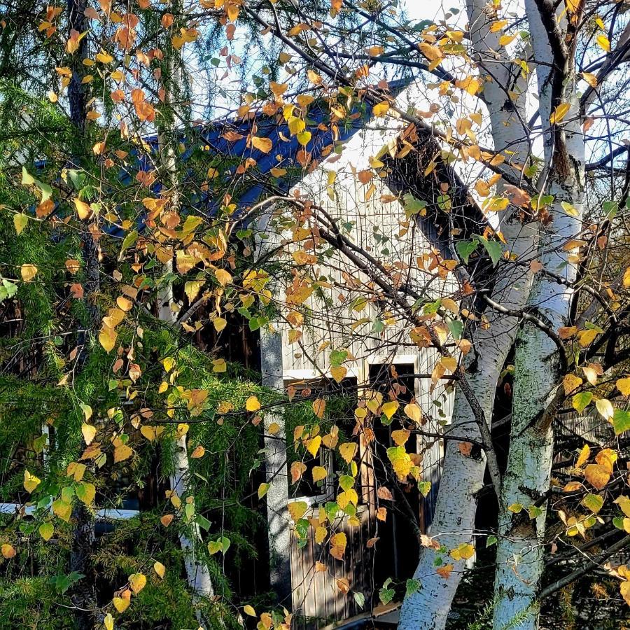 Domki Na Widoku Lubomierz  Exterior photo